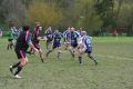 RUGBY CHARTRES 156.JPG